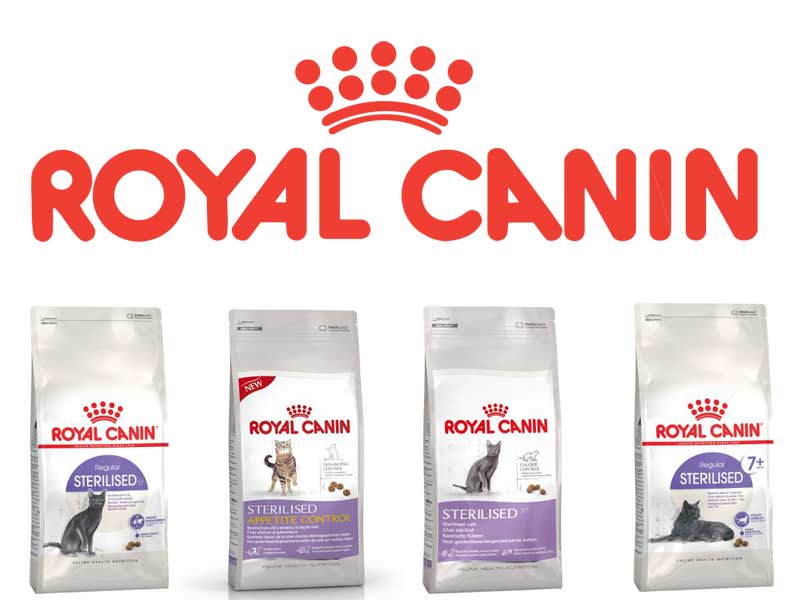 Купить роял канин 7. Royal Canin сухой корм Mini Sterilised. Royal Canin Indoor Sterilised 7. Royal Canin корм лого. Роял Канин реклама с собаками.